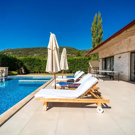 Eco Hava Villa *